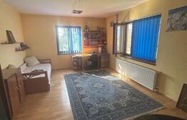 Vila Remetea Mare 380mp utili, 3982 mp teren