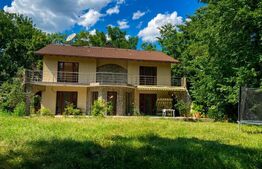 Vilă exclusivistă pe malul Begăi | 380 mp utili, 3.982 mp parc privat și ponton 