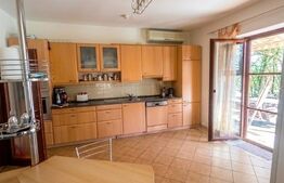 Vilă exclusivistă pe malul Begăi | 380 mp utili, 3.982 mp parc privat și ponton 
