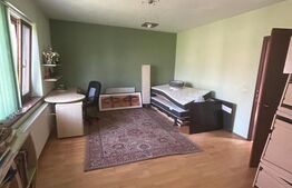 Vila Remetea Mare 380mp utili, 3982 mp teren