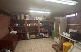 Vila Remetea Mare 380mp utili, 3982 mp teren