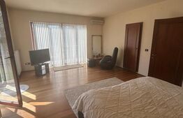 Vila Remetea Mare 380mp utili, 3982 mp teren