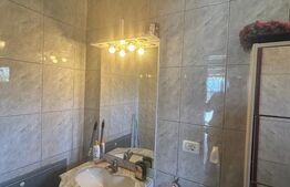 Vila Remetea Mare 380mp utili, 3982 mp teren