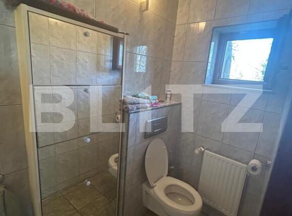 Casa de vânzare 6 camere Remetea Mare - 191088CV | BLITZ Timișoara | Poza21