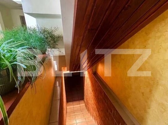 Casa de vânzare 6 camere Remetea Mare - 191088CV | BLITZ Timișoara | Poza4