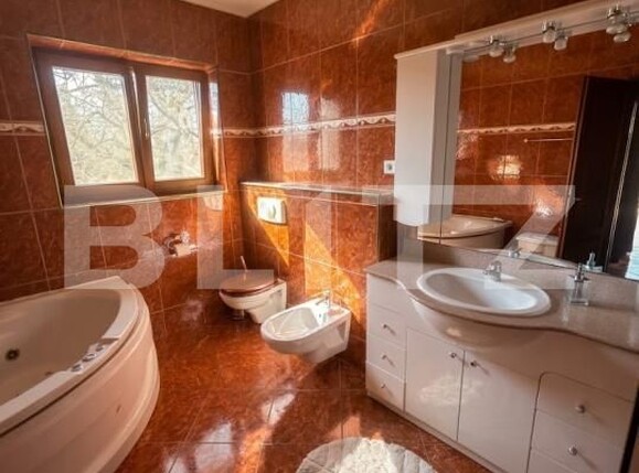 Casa de vânzare 6 camere Remetea Mare - 191088CV | BLITZ Timișoara | Poza12