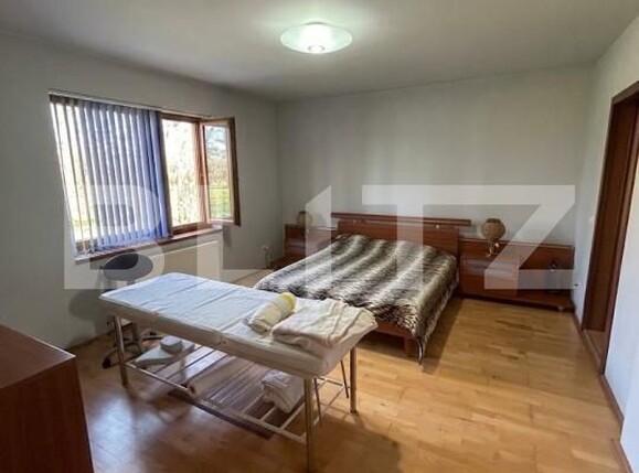 Casa de vânzare 6 camere Remetea Mare - 191088CV | BLITZ Timișoara | Poza9
