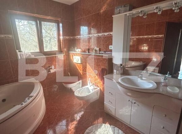 Casa de vânzare 6 camere Remetea Mare - 191088CV | BLITZ Timișoara | Poza11