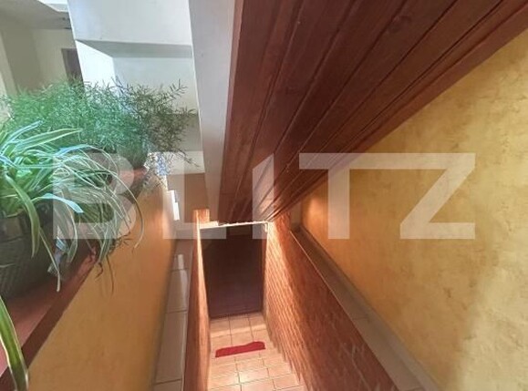 Casa de vânzare 6 camere Remetea Mare - 191088CV | BLITZ Timișoara | Poza23