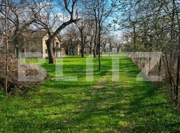 Casa de vânzare 6 camere Remetea Mare - 191088CV | BLITZ Timișoara | Poza14