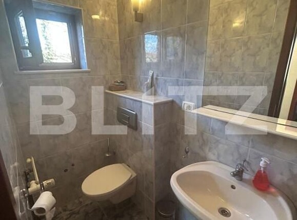 Casa de vânzare 6 camere Remetea Mare - 191088CV | BLITZ Timișoara | Poza9