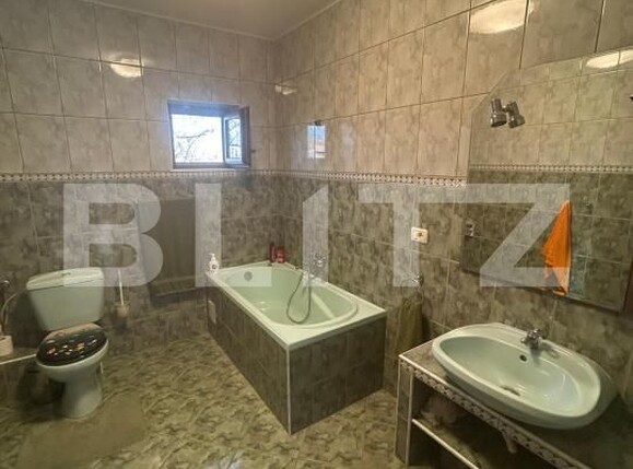 Casa de vânzare 6 camere Remetea Mare - 191088CV | BLITZ Timișoara | Poza18