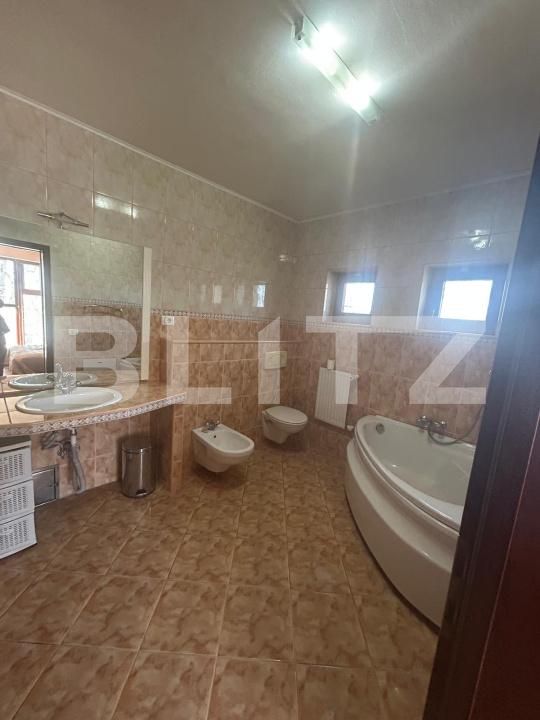Casa de vânzare 6 camere Remetea Mare - 191088CV | BLITZ Timișoara | Poza20