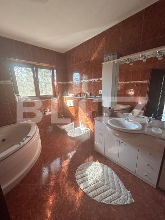 Casa de vânzare 6 camere Remetea Mare - 191088CV | BLITZ Timișoara | Poza11