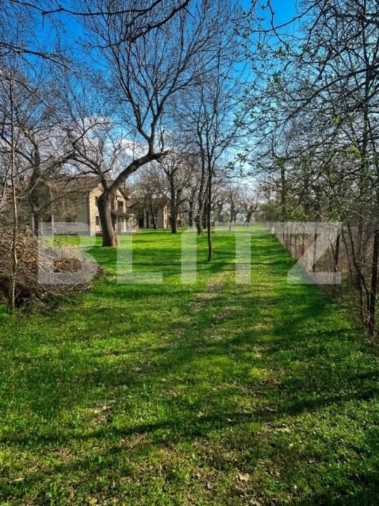 Casa de vânzare 6 camere Remetea Mare - 191088CV | BLITZ Timișoara | Poza14