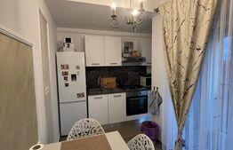 Apartament 2 camere, 54 mp, zona Lipovei 