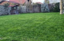 Vila Dumbravita 117 mp utili , 610mp teren