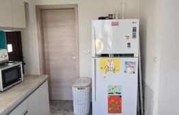 Vila Dumbravita 117 mp utili , 610mp teren