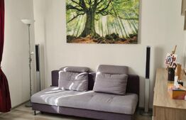 Vila Dumbravita 117 mp utili , 610mp teren