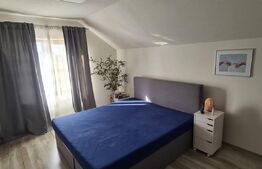 Vila Dumbravita 117 mp utili , 610mp teren