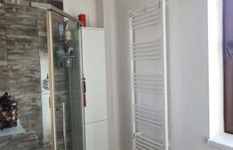 Vila Dumbravita 117 mp utili , 610mp teren