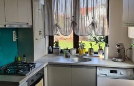 Vila Dumbravita 117 mp utili , 610mp teren