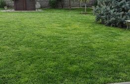 Vila Dumbravita 117 mp utili , 610mp teren