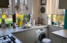 Vila Dumbravita 117 mp utili , 610mp teren