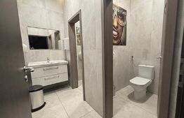 Spațiu Comercial | 132 mp utili | Zona Torontalului