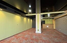 Spațiu Comercial | 132 mp utili | Zona Torontalului