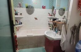 Apartament de inchiriat 2 camere, 52 mp, zona Lipovei