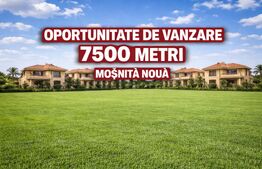 Teren de vanzare 7500 metri, Mosnita Noua 