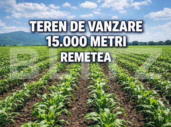 Teren de vânzare Remetea Mare - 191556TV | BLITZ Timișoara | Poza1