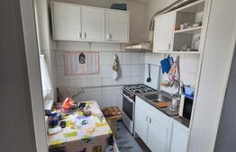 Apartament 1 camera 22mp semidocomandat