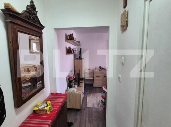 Garsonieră de vânzare Sagului - 191640AV | BLITZ Timișoara | Poza1