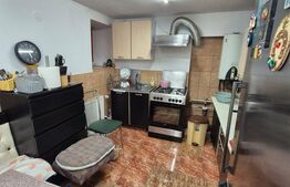 Apartament 2 camere, 62 mp, ideal locuit sau cabinet, zona Badea Carțan