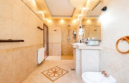 Vilă luxoasă pentru multiple activități, Zona Dumbravita