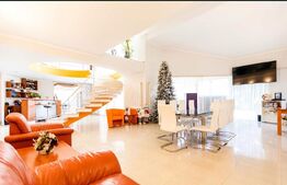 Vilă luxoasă pentru multiple activități, Zona Dumbravita