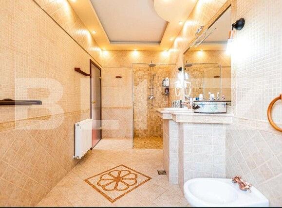 Casa de închiriat 7 camere Dumbravita - 191948CI | BLITZ Timișoara | Poza3