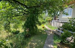 Vînd Casă în Sacoșu Mare, Com.Darova! Cu o suprafață de teren de 9500.m2.