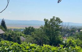 Vînd Casă în Sacoșu Mare, Com.Darova! Cu o suprafață de teren de 9500.m2.