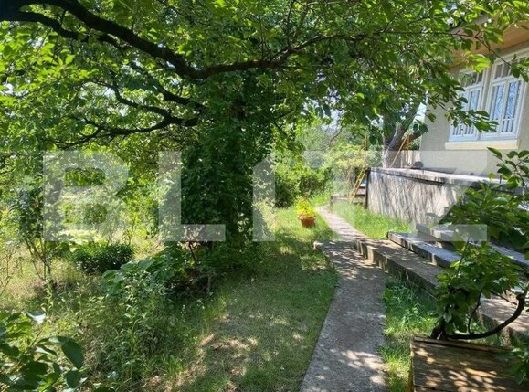 Casa de vânzare 2 camere Sacosu Mare - 192014CV | BLITZ Timișoara | Poza5