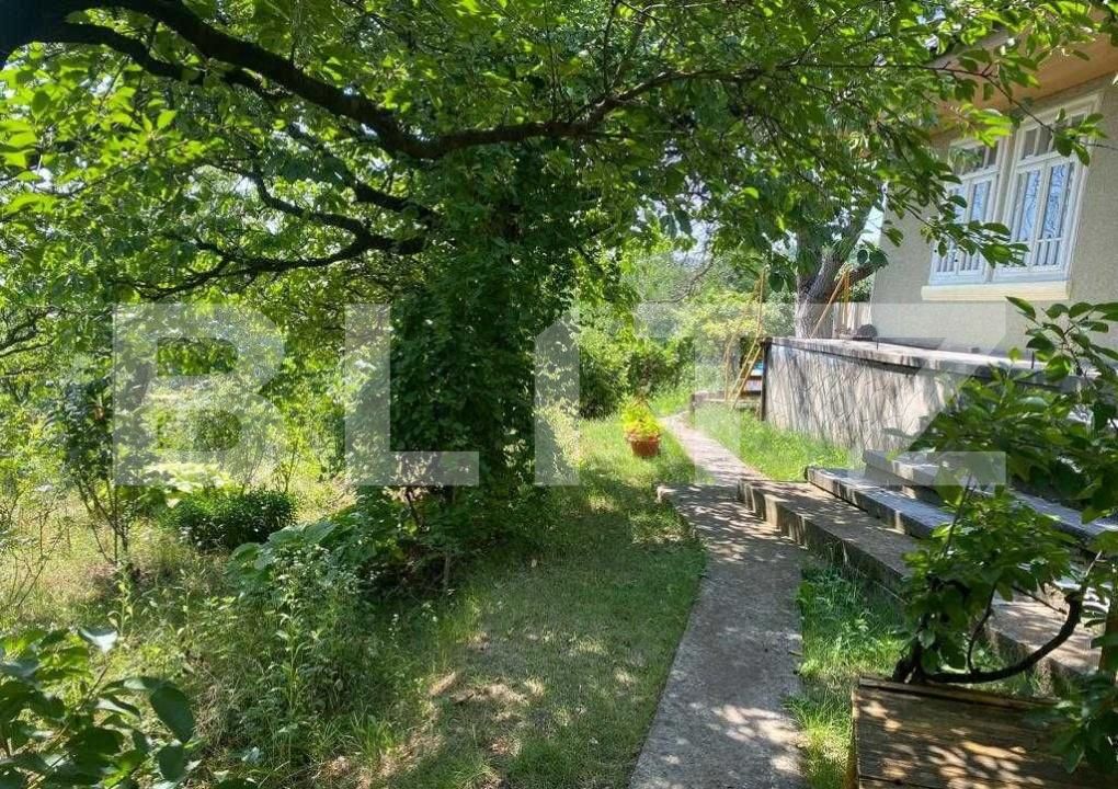 Casa de vânzare 2 camere Sacosu Mare - 192014CV | BLITZ Timișoara | Poza5