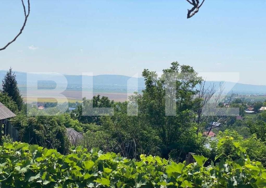 Casa de vânzare 2 camere Sacosu Mare - 192014CV | BLITZ Timișoara | Poza6