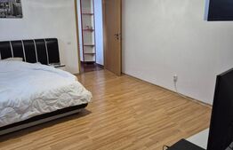 Apartament 1 camera zona Buziasului