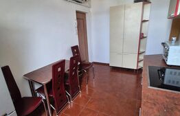 Apartament 1 camera, 38 mp, zona Buziasului