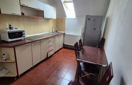 Apartament 1 camera, 38 mp, zona Buziasului