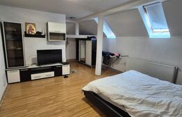 Apartament 1 camera zona Buziasului