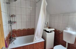 Apartament 1 camera zona Buziasului