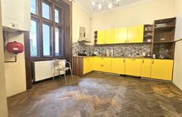 Apartament 160 mp, pretabil birouri sau alte activitati, zona Traian